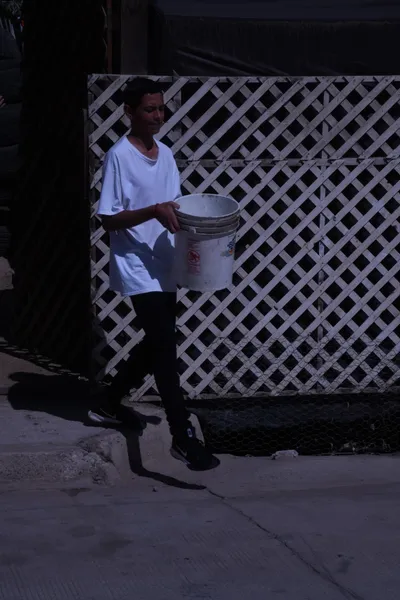 DSC_2036 (Large).JPG